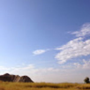 Meet your Posher, Jesse